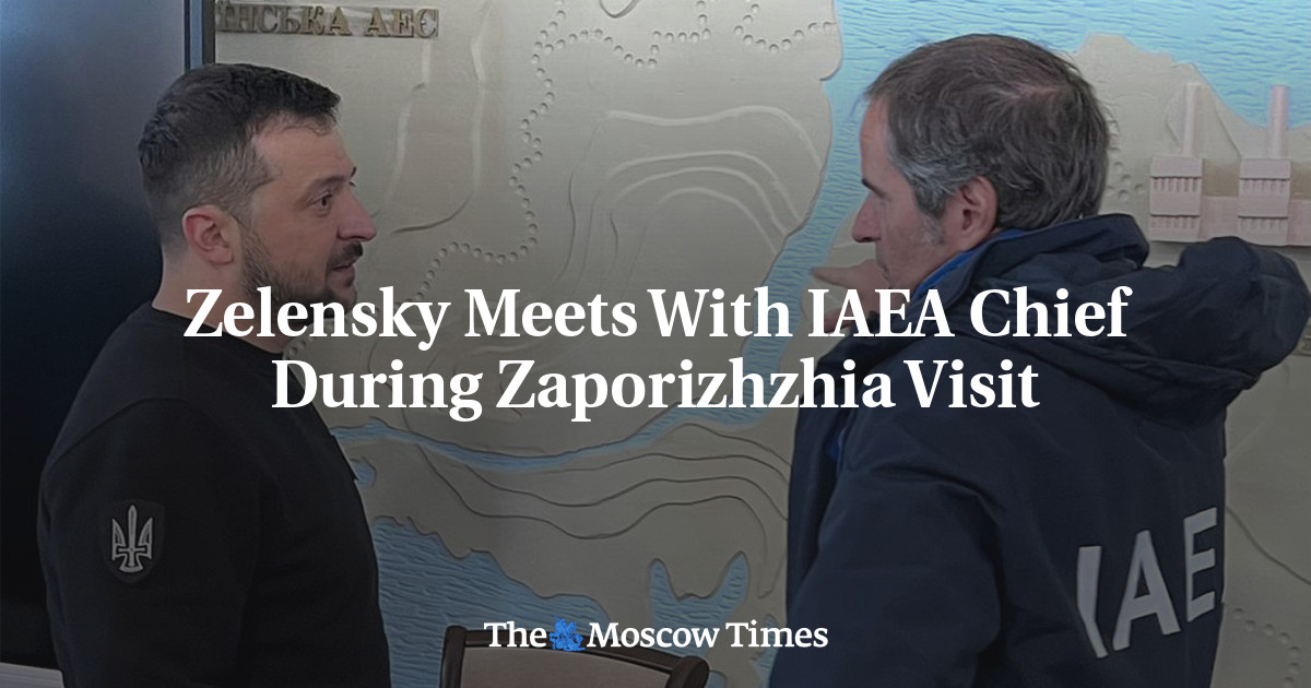 Zelensky Meets With IAEA Chief During Zaporizhzhia Visit