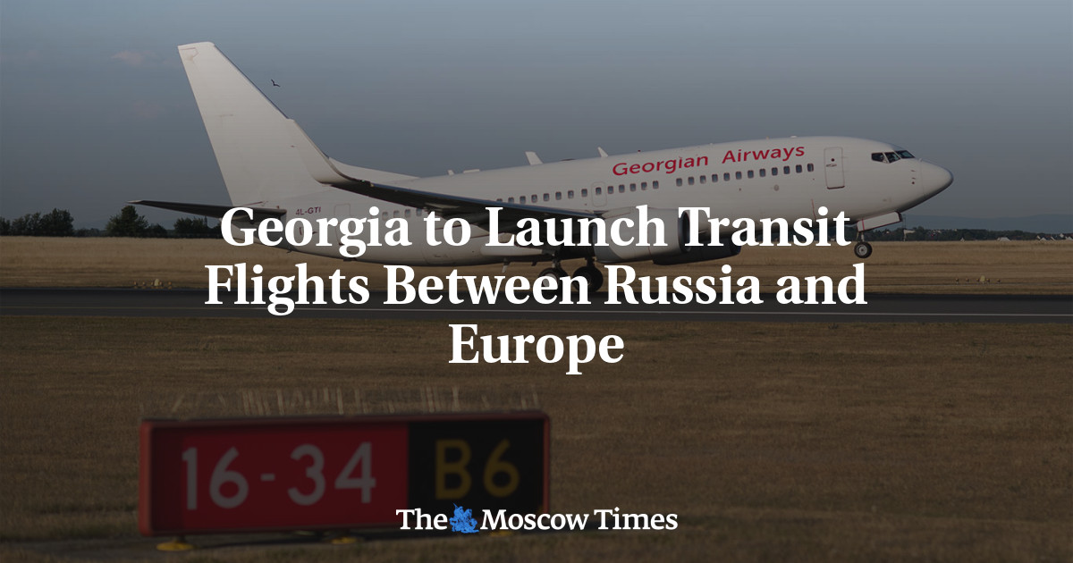 Georgia to Launch Transit Flights Between Russia and Europe