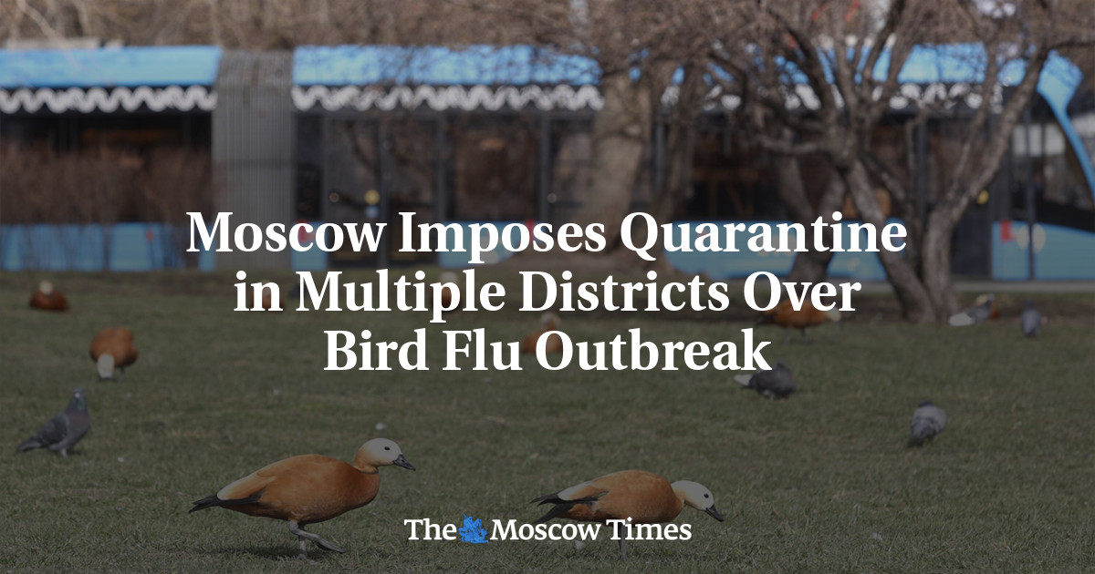 Moscow Imposes Quarantine in Multiple Districts Over Bird Flu Outbreak