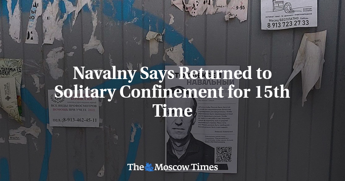 Navalny Says Returned to Solitary Confinement for 15th Time