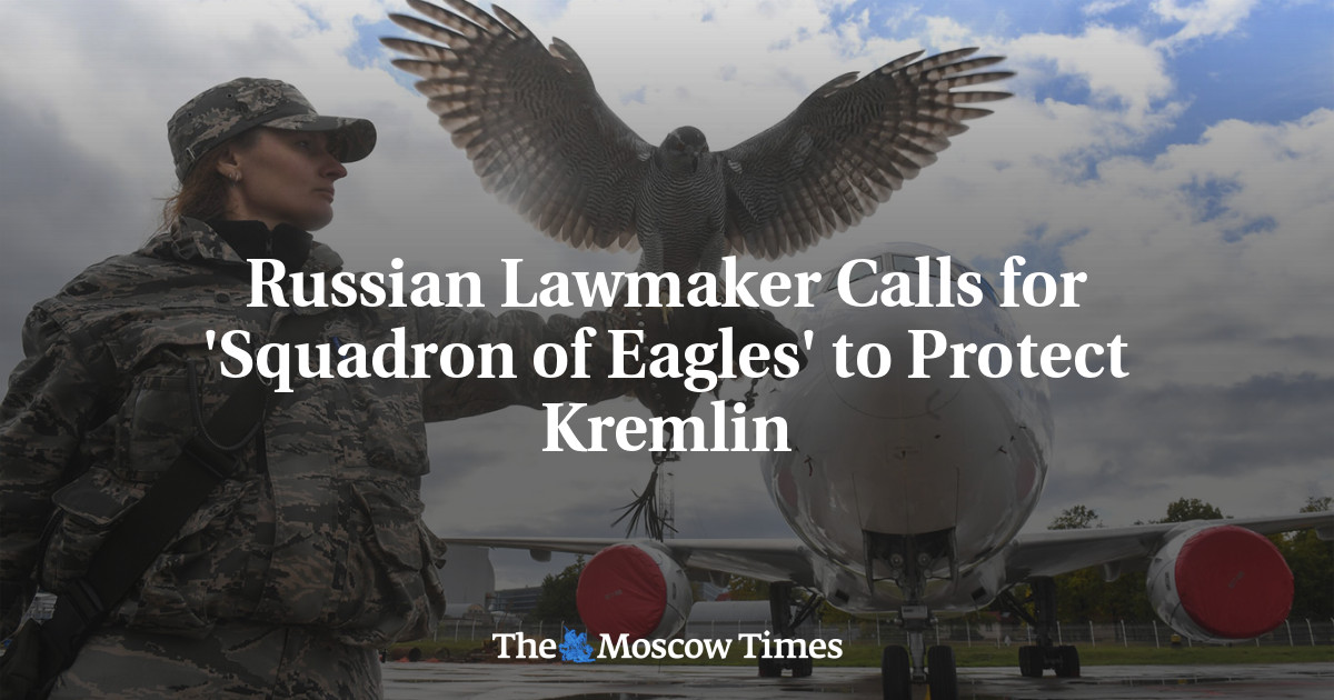 Russian Lawmaker Calls for ‘Squadron of Eagles’ to Protect Kremlin