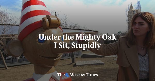 Under the Mighty Oak I Sit, Stupidly