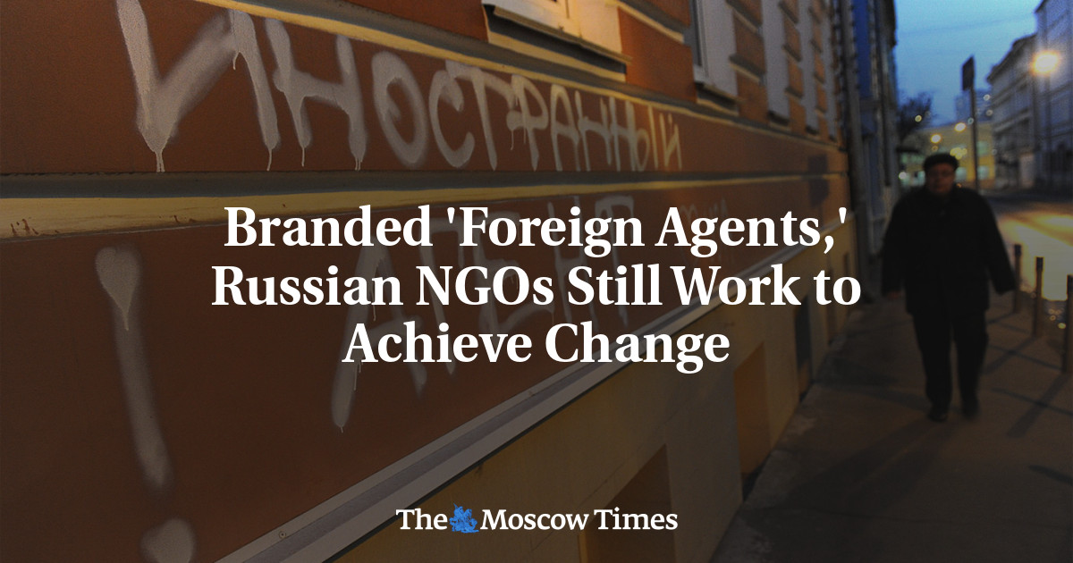 Branded ‘Foreign Agents,’ Russian NGOs Still Work to Achieve Change