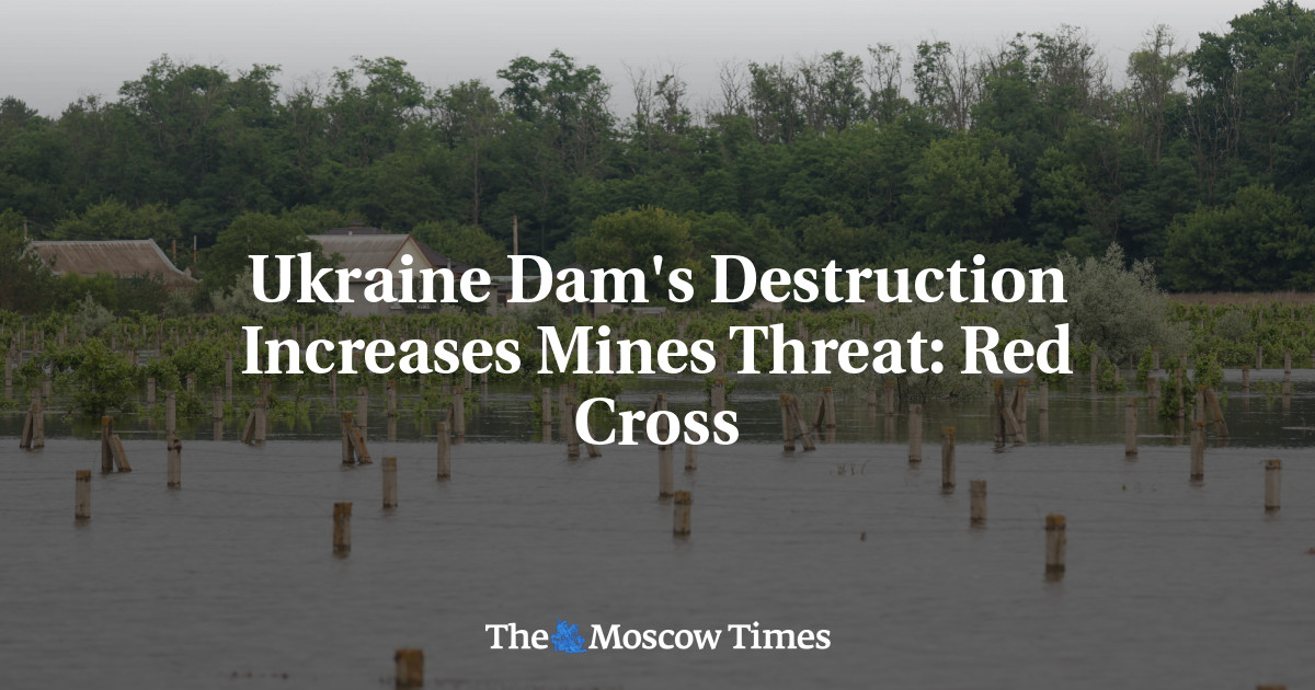Ukraine Dam’s Destruction Increases Mines Threat: Red Cross
