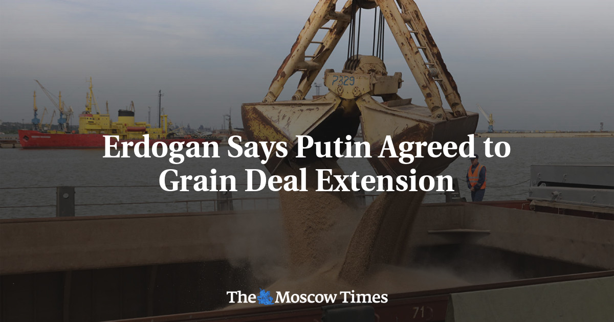 Erdogan Says Putin Agreed to Grain Deal Extension