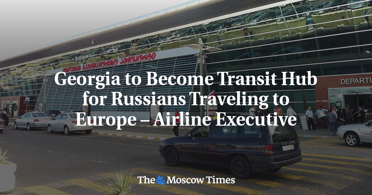 Georgia to Become Transit Hub for Russians Traveling to Europe – Airline Executive