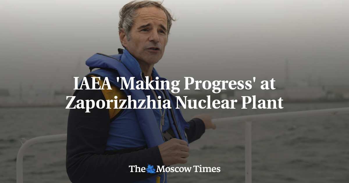 IAEA ‘Making Progress’ at Zaporizhzhia Nuclear Plant