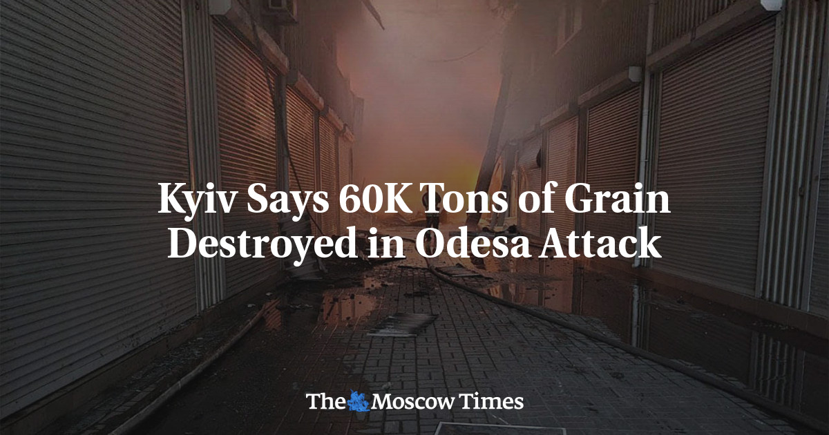 Kyiv Says 60K Tons of Grain Destroyed in Odesa Attack
