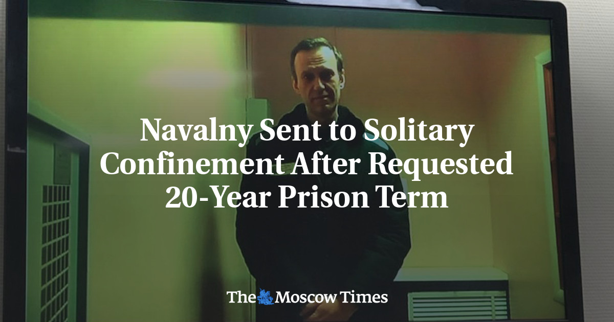 Navalny Sent to Solitary Confinement After Requested 20-Year Prison Term