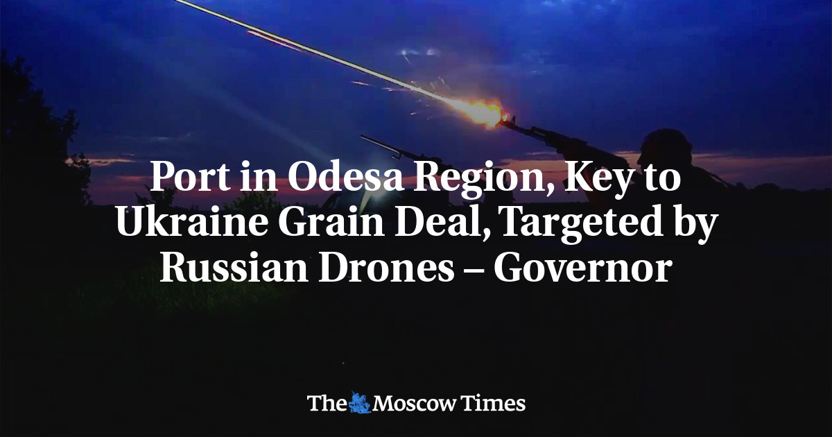Port in Odesa Region, Key to Ukraine Grain Deal, Targeted by Russian Drones – Governor