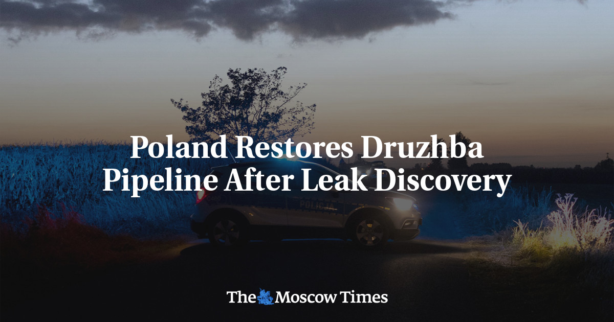 Poland Restores Druzhba Pipeline After Leak Discovery