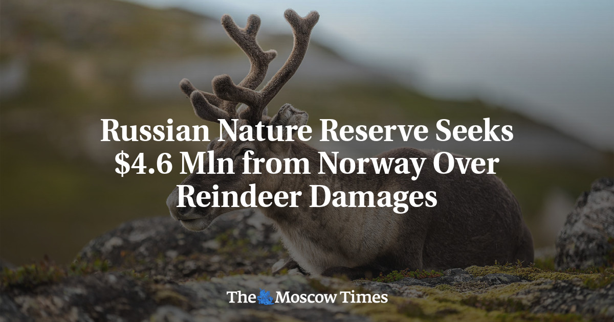 Russian Nature Reserve Seeks $4.6 Mln from Norway Over Reindeer Damages