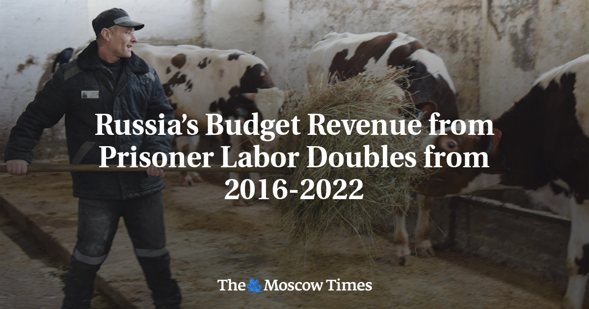Russia’s Budget Revenue from Prisoner Labor Doubles from 2016-2022