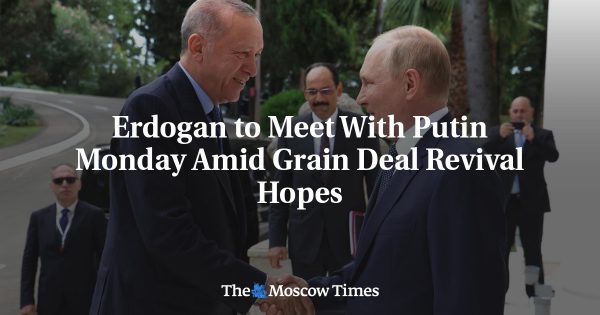 Erdogan to Meet With Putin Monday Amid Grain Deal Revival Hopes