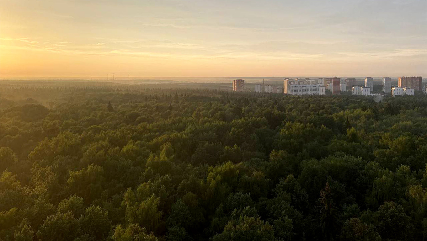 Moscow Mayor’s Urban Forest ‘Improvement’ Sparks Grassroots Resistance