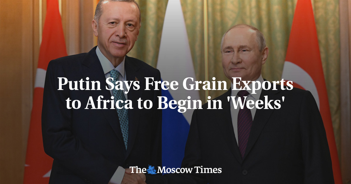 Putin Says Free Grain Exports to Africa to Begin in ‘Weeks’