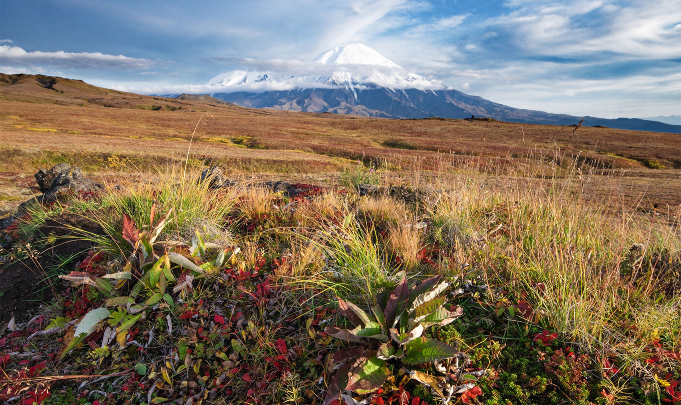  The mountain-tundra belt of the volcanic plateaus of Central Kamchatka. Anton Korablev (CC BY 4.0) 