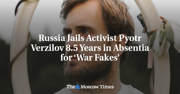 Russia Jails Activist Pyotr Verzilov 8
