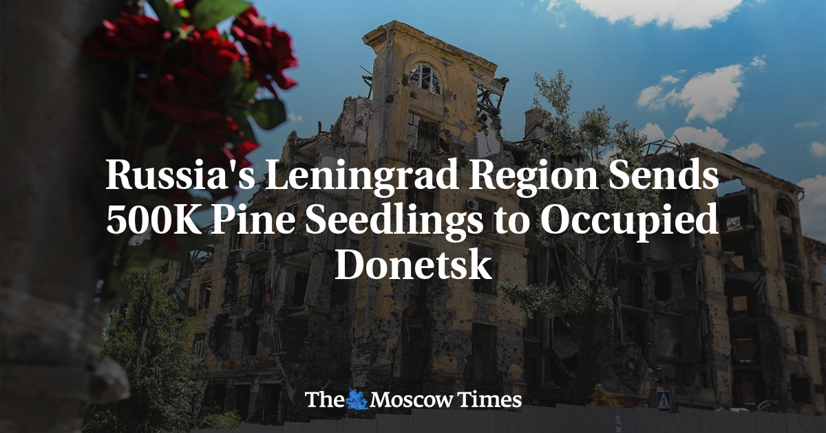 Russia’s Leningrad Region Sends 500K Pine Seedlings to Occupied Donetsk