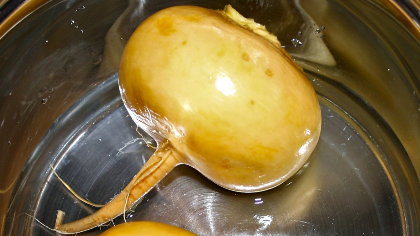  A very large turnip. Pavel and Olga Syutkin 