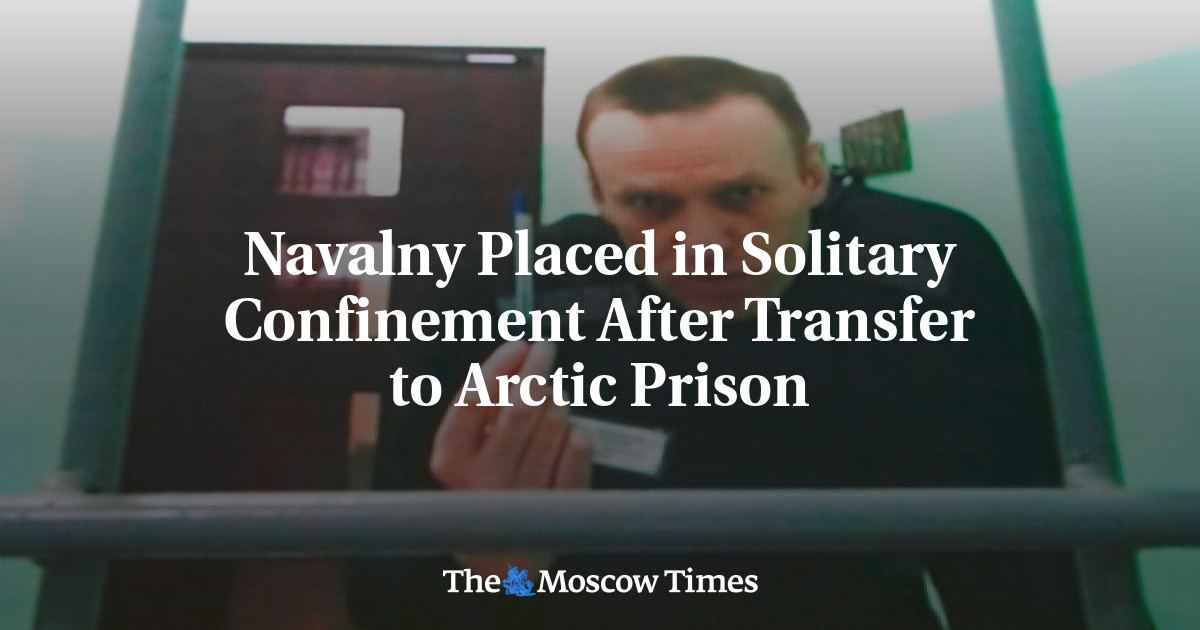 Navalny Placed in Solitary Confinement After Transfer to Arctic Prison