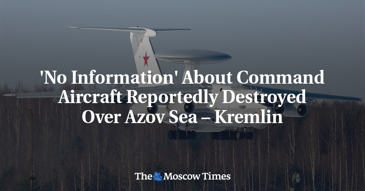 ‘No Information’ About Command Aircraft Reportedly Destroyed Over Azov Sea – Kremlin