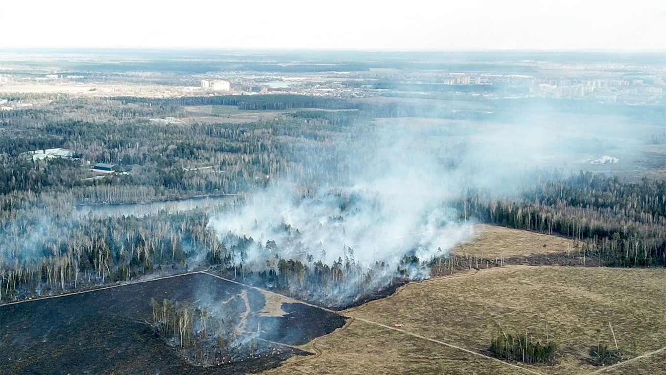  A forest fire in the Moscow region. Moskva News Agency 