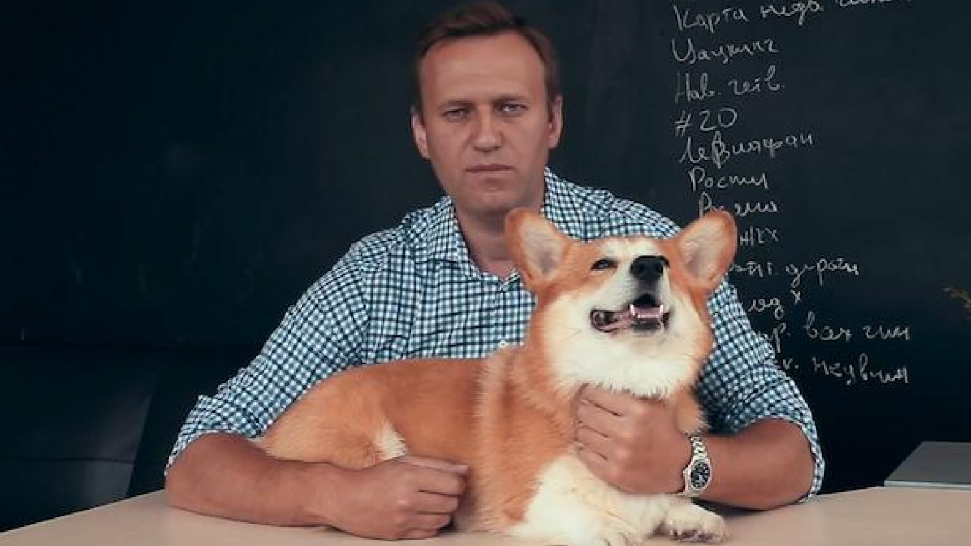  Alexei Navalny / YouTube 