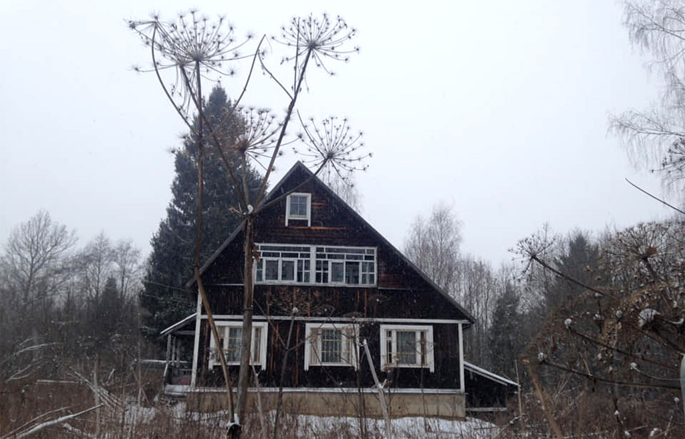  Sosnovsky’s hogweed in the Moscow region. MT 