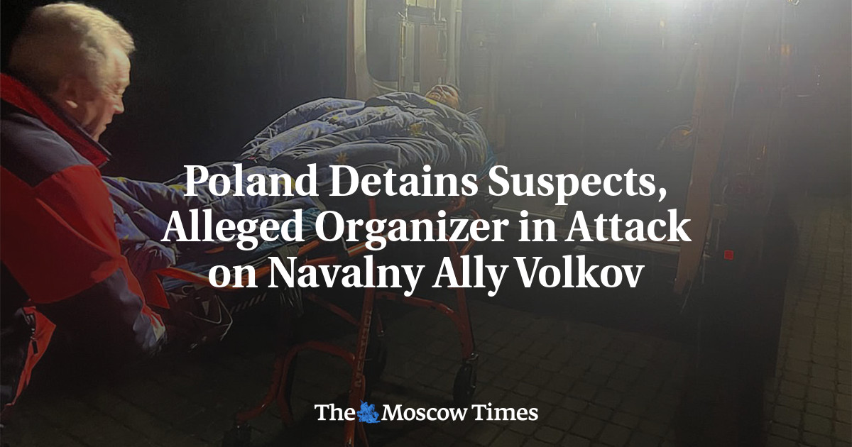 Poland Detains Suspects, Alleged Organizer in Attack on Navalny Ally Volkov