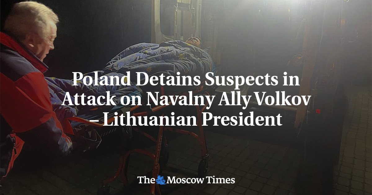 Poland Detains Suspects in Attack on Navalny Ally Volkov – Lithuanian President