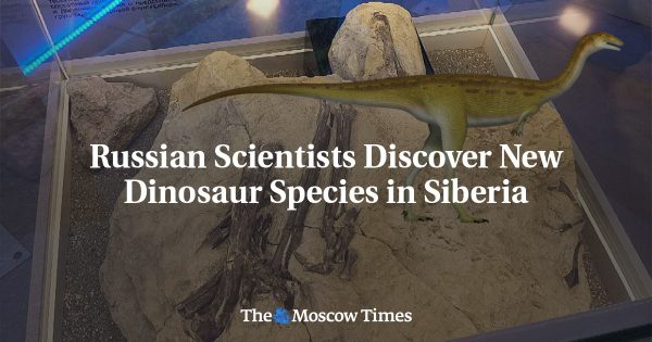 Russian Scientists Discover New Dinosaur Species in Siberia