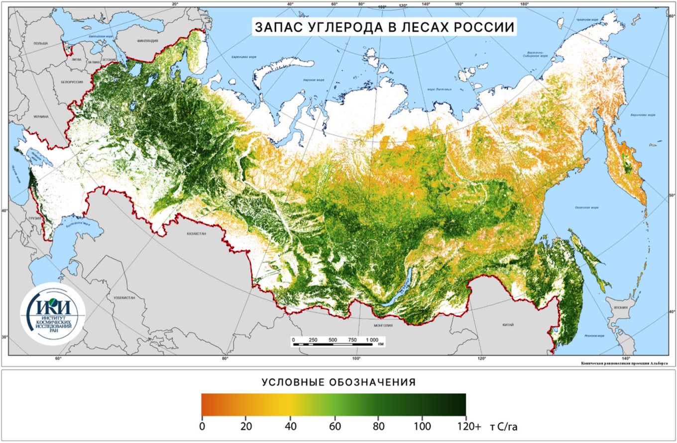  Carbon stock in Russian forests, tons per hectare. Space Research Institute of the Russian Academy of Sciences 