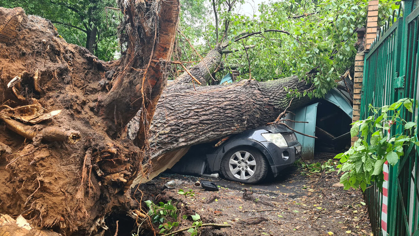  A tree falling on a car. Denis Voronin / Moskva News Agency 