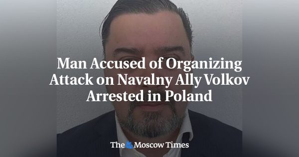 Man Accused of Organizing Attack on Navalny Ally Volkov Arrested in Poland