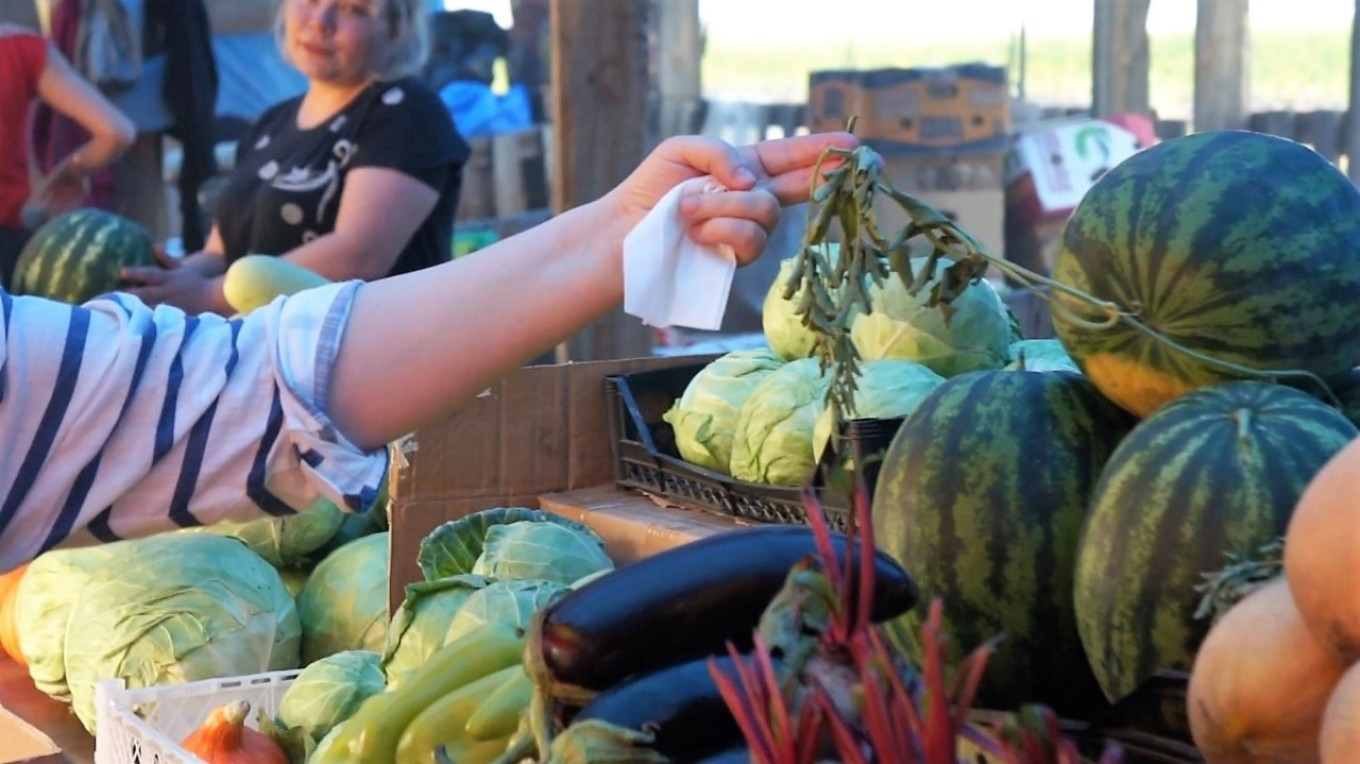  Here is a Sakha watermelon, clearly home-grown as shown by the stem still attached. Courtesy of authors 