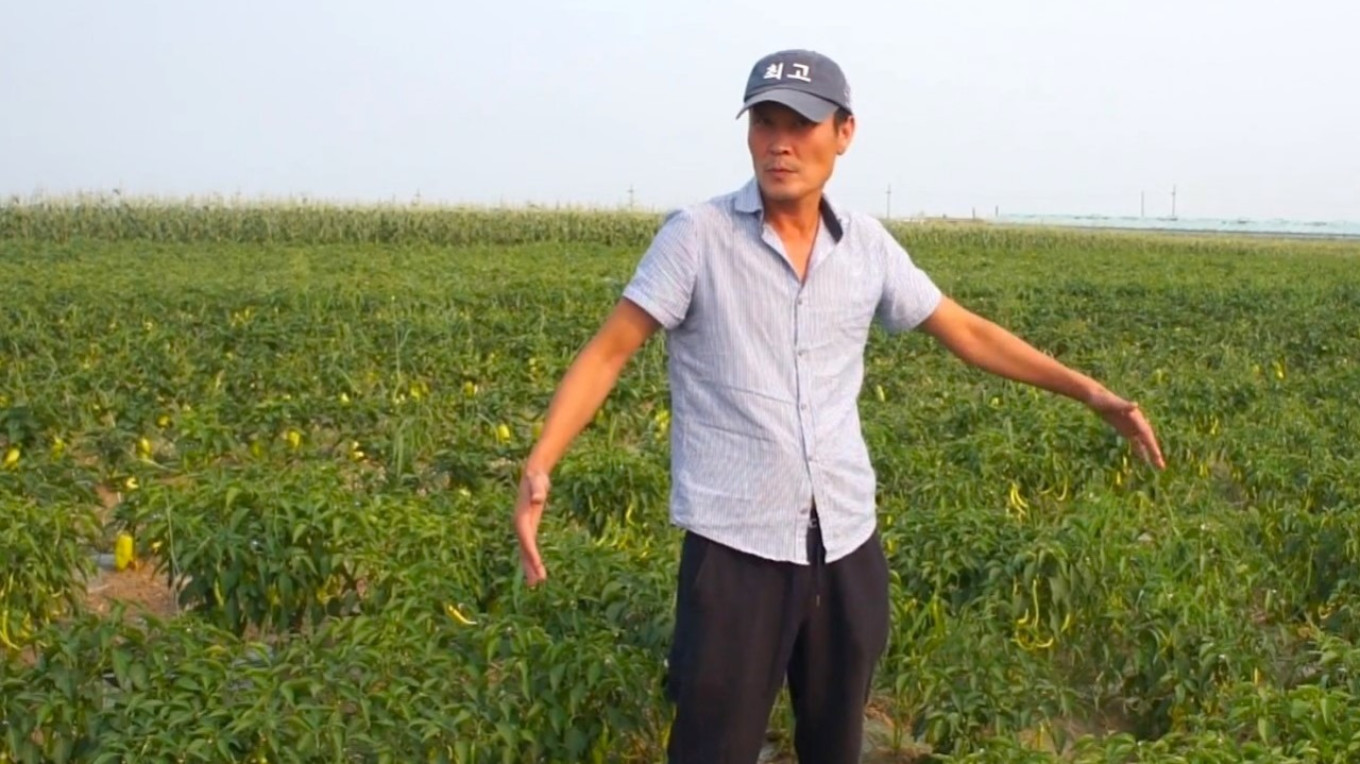  Korean farmer Arthur Em grows watermelons and melons in Sakha. Courtesy of authors 