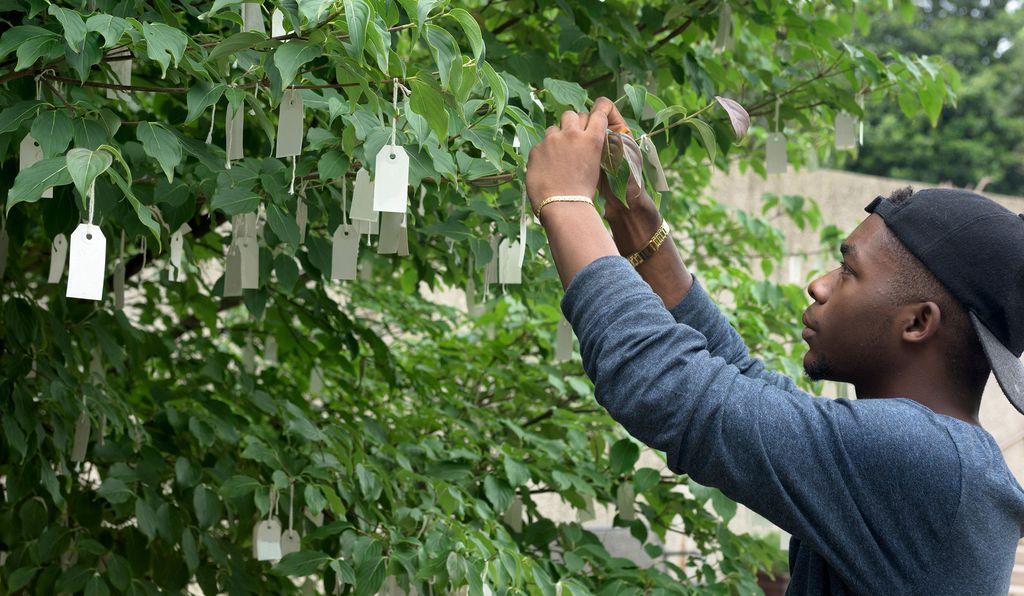 <em>Wish Tree for Washington, D.C.</em> is a dogwood in the sculpture garden onto which visitors tie thousands of written wishes annually to its branches.  